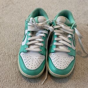 Nike dunk lows in teal